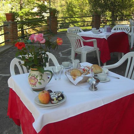 Hotel Il Poggetto Castellina Marittima Ngoại thất bức ảnh