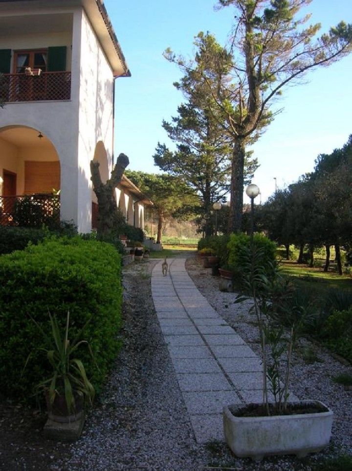 Hotel Il Poggetto Castellina Marittima Ngoại thất bức ảnh